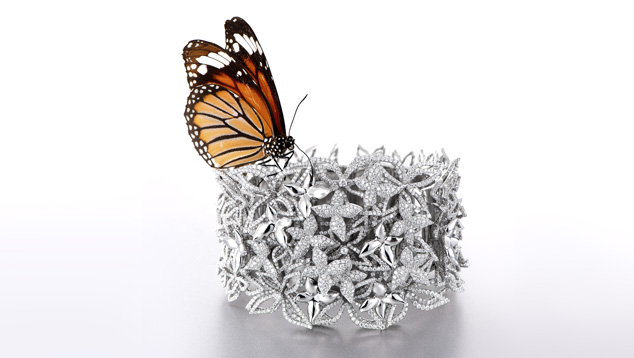 Zbird, one of China's top retailers of diamond and wedding jewelry
